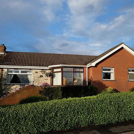 Number Nine Accommodation Downpatrick Exterior foto